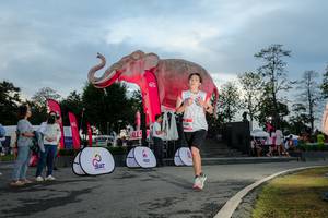 BIB: 
                            <button type="button" onclick="openModal(26529410)" class="btn btn-primary btn-sm float-right btn-popup" data-toggle="modal" data-target=".modal-high-quality">
                        <i class="fas fa-shopping-cart"></i> Add to Cart
                    </button>
                                            <button type="button" onclick="isThisMe(26529410, true)" class="btn btn-success btn-sm float-right btn-popup btn-isme hidden" data-toggle="tooltip" data-placement="bottom" title="นี่คือรูปของคุณใช่ไหม คลิกที่นี่เพื่อเอาเข้าอัลบั้ม">
                        <i class="fas fa-plus"></i> Add to album
                    </button>
                    <button type="button" onclick="isThisMe(26529410, false)" class="btn btn-warning btn-sm float-right btn-popup btn-isnotme hidden">
                        <i class="fas fa-ban"></i> Remove from album
                    </button>